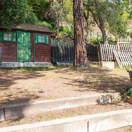 Disfruta De La Costa Brava